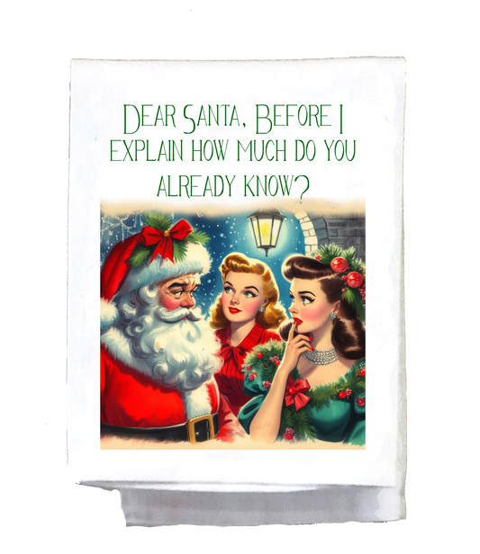 Sassy Girl, Christmas, Dear Santa ,before I explain how much do you know 2