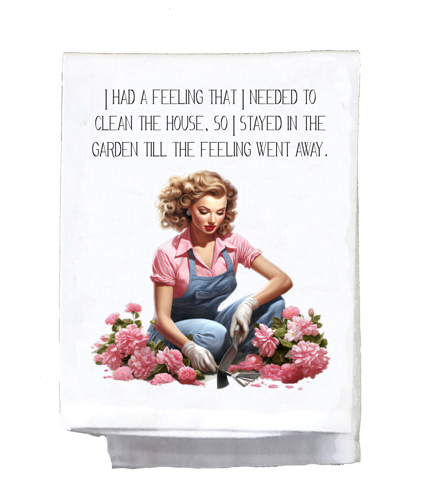 Dish Towel, Sassy Girl, I had a feeling I needed to clean the house